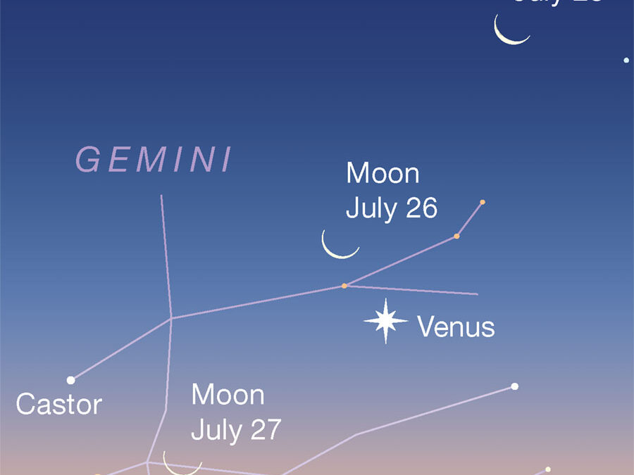 Moon/Venus 7th Gate—First Chakra and OOB Moon