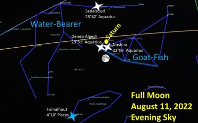 Full Moon in Aquarius, August 11, 2022