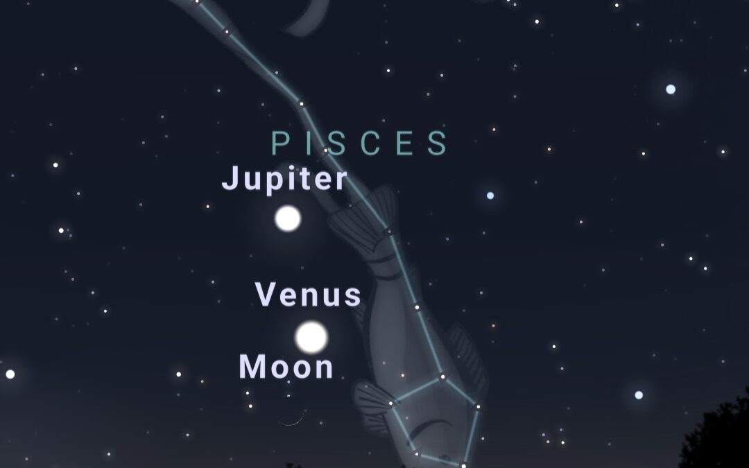 The Pisces New Moon and the Third Chakra Gate of Venus