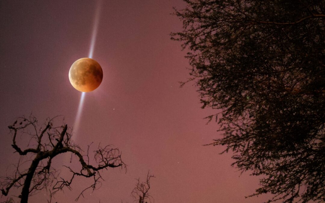 Eclipse Season Insights