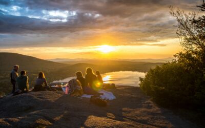 Taurus New Moon: Feeding All Of The Senses