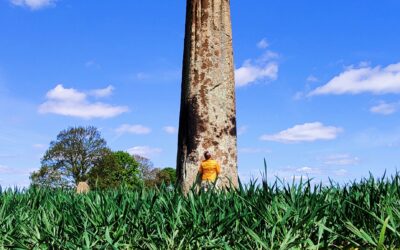 Thornborough and The Sacred Vale