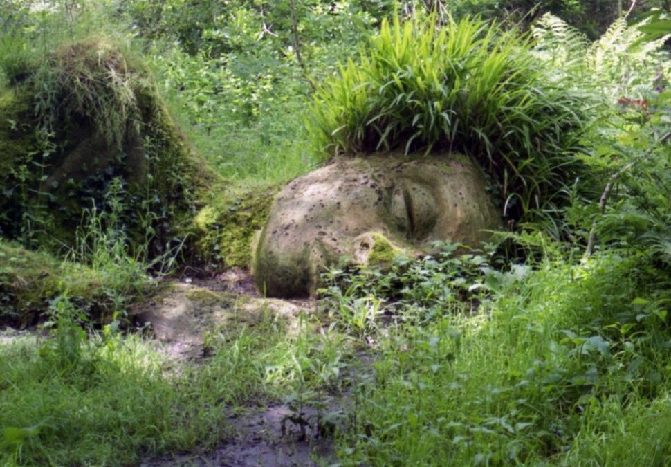 Cancer New Moon: A Sacred Invitation Into Soul Nourishment 