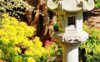 Capricorn Full Moon: Healing Ancestral Burdens