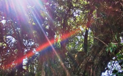 Gemini Full Moon: Signposts of Cosmic Connection