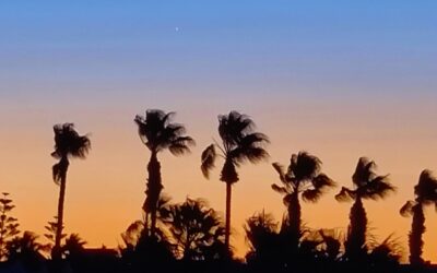 She Is Still Visible – Venus Latest Update