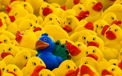 Chiron Direct, Magi Moon, and Four Out-of-Bounds