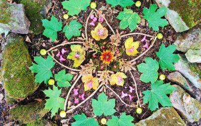 Venus Into Taurus – What Does It Mean?