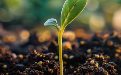 Aries New Moon: Committing 100%