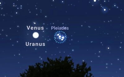 Pluto And The Pleiades Join The Production