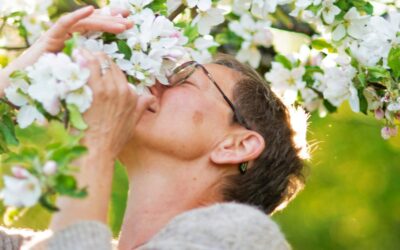 Taurus New Moon: Be Here, On Earth