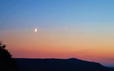 Venus-Moon 8th Gate Experienced Live at Faywood